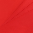 Ткань для рукоделия, сорочечная, цвет красный, лоскут 100×150 см - Фото 3