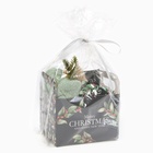 Набор новогодний подарочный «Этель» Christmas berries, полотенце 30×60 см и аксессуары (4 предмета) - Фото 9