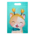 Пакет подарочный новогодний, с zip-lock застежкой, «Зимние котята», 15×22 см - Фото 12