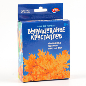 {{photo.Alt || photo.Description || 'УЦЕНКА Набор для творчества «Лучистые кристаллы», оранжевый'}}