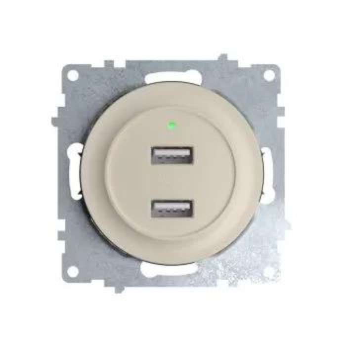 Розетка USB 2-м СП Florence 16А IP20 с подсветкой механизм беж. (1E10351301) OneKeyElectro 2260090 - Фото 1