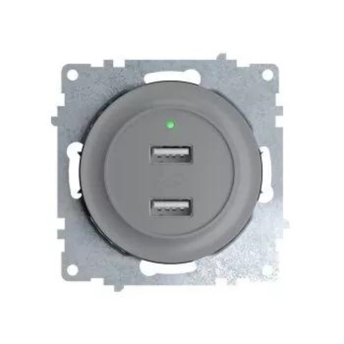 Розетка USB 2-м СП Florence 16А IP20 с подсветкой механизм сер. (1E10351302) OneKeyElectro 2260091 - Фото 1