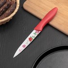 Нож кухонный с антиналипающим покрытием Доляна «Розарий», лезвие 13 см, цвет красный - Фото 1