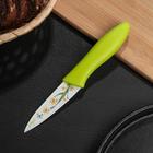 Нож кухонный с антиналипающим покрытием Доляна «Нарцисс», лезвие 8 см, зелёный цвет - Фото 1