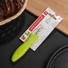 Нож кухонный с антиналипающим покрытием Доляна «Нарцисс», лезвие 8 см, зелёный цвет - Фото 2