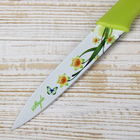 Нож кухонный с антиналипающим покрытием Доляна «Нарцисс», лезвие 13 см, зелёный цвет - Фото 5