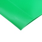 Папка-короб на резинке А4, 500мкм, Calligrata, корешок 25 мм, до 230 листов, тиснение "песок", зеленая - Фото 14