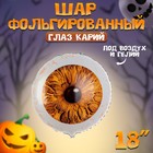 Воздушный шар фольгированный 18" «Глаз карий», круг - Фото 1
