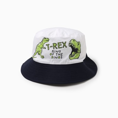 Панама для мальчика T-REX, бело-синяя, размер 50-52 (3-5 лет)