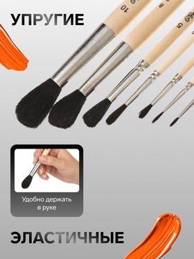 Набор кистей для рисования, белка, 7 штук: № 0.1.2.3.5.8,10, Calligrata, круглые, короткая ручка