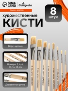 Набор кистей для рисования, щетина, 8 штук: № 3, 6 (круглые), №: 4, 6, 10, 14, 18, 24 (плоские), Calligrata, круглые, плоские, в пакете - Фото 1