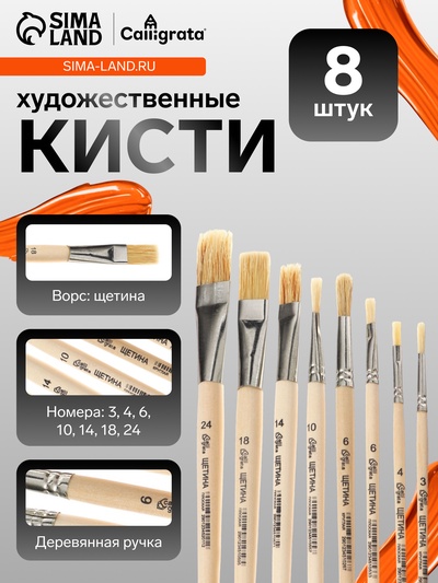 Набор кистей для рисования, щетина, 8 штук: № 3, 6 (круглые), №: 4, 6, 10, 14, 18, 24 (плоские), Calligrata, круглые, плоские, в пакете