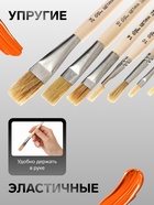 Набор кистей для рисования, щетина, 8 штук: № 3, 6 (круглые), №: 4, 6, 10, 14, 18, 24 (плоские), Calligrata, круглые, плоские, в пакете - Фото 2