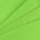 Лоскут для рукоделия, 50 × 50 см, фетр, цвет светло-зелёный - фото 110748996