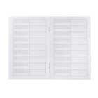 Тетрадь для записи иероглифов А6, 32 листа "Девушка в кимоно" (комплект 2 шт) - фото 24730597