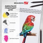Скетчбук 100г/м BRAUBERG ART DEBUT Порисуем 140х201 мм 60л, греб, резинка, бел бум 115063 (комплект 6 шт) - фото 25944697