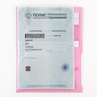 Папка для медицинского полиса «Мишка», 17.5×11.3 см 9897260 - фото 16535764