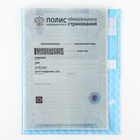 Папка для медицинского полиса «Мишка», 17.5×11.3 см 9897261 - фото 16535770