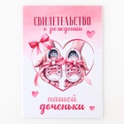 Папка для свидетельства о рождении «Наша доченька», 23×17 см 9900280 - фото 16535781
