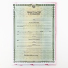 Папка для свидетельства о рождении «Наша доченька», 23×17 см 9900280 - фото 16535784