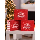 Набор пакетов «Подарок», 3 шт,  23 × 18 × 11 см 10372448