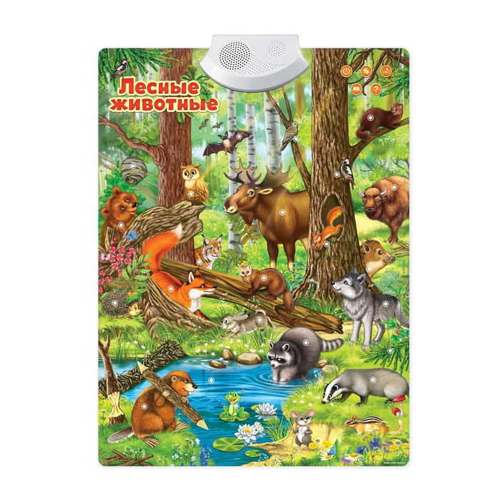 УЦЕНКА (заломы на товаре) Говорящий электронный плакат «Лесные животные», работает от батареек - Фото 1