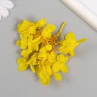 Сухоцвет "Гортензия" жёлтый h=6-6,5 см - Фото 3