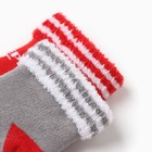 Набор махровых носков Крошка Я "Северные друзья", 2 пары, размер 8-10 см - Фото 3