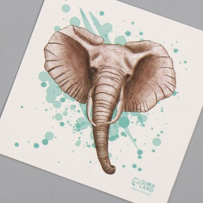 Переводная тату на тело цветная «Акварель. Слон», 6×6 см
