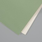Лист для творчества иск.кожа "Рисунок Личи" светло-зелёный лист 33х20 см толщина 1 мм - фото 321813890