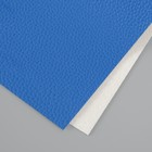 Лист для творчества иск.кожа "Рисунок Личи" синий лист 33х20 см толщина 1 мм - фото 307163617