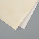 Лист для творчества иск.кожа "Масло. Матовый" молочный лист 33х20 см толщина 0,74 мм - фото 307163673