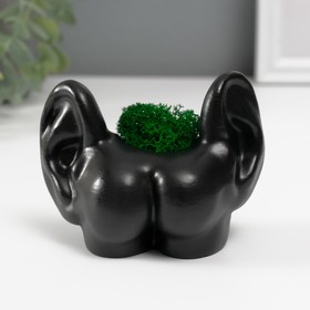 Кашпо бетонное "Попка с ушами" со мхом 8х10 см черный (мох зеленый стабилизированный)