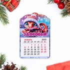 Магнит новогодний календарь "Символ года 2025.Здоровья!", 12 месяцев - фото 10112482