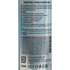 Очиститель стекол и зеркал пенный, 650 мл - фото 24692308