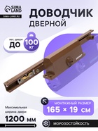 Доводчик дверной АЛЛЮР COMFORT ДД 168/3-4 AH-C, морозостойкий, до 100 кг, коричневый - Фото 1
