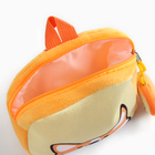Рюкзак детский плюшевый с кошельком "Корги", 24*24 см, цвет оранжевый - фото 4604902