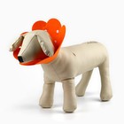 Ветеринарный защитный воротник для кошек и собак, оранжевый, размер S (обх. шеи 9-11 см) - фото 25367523