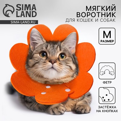 Ветеринарный защитный воротник для кошек и собак, оранжевый, размер M (обх. шеи 17-22,5 см)
