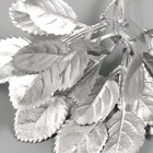 Искусственное растение для творчества "Круглые листья" 1 букет = 6 веточек серебро 13 см - Фото 4