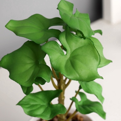 Искусственный цветок в горшке «Филодендрон селло» (мягкий лист), 12×6 см, МИКС