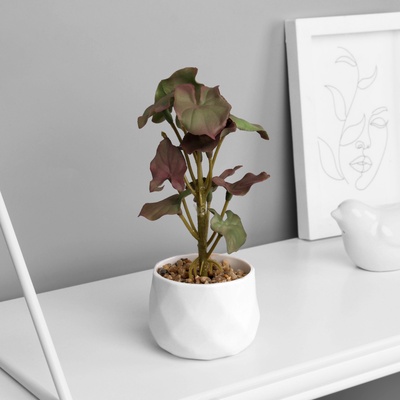 Искусственный цветок в горшке «Филодендрон селло» (мягкий лист), 12×6 см, МИКС