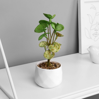 Искусственный цветок в горшке «Пеперомия люкс» (мягкий лист), 13×6 см, МИКС