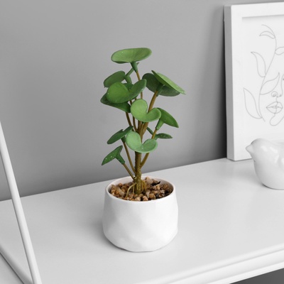 Искусственный цветок в горшке «Пеперомия люкс» (мягкий лист), 13×6 см, МИКС