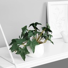Искусственный цветок в горшке «Плющ комнатный люкс» (мягкий лист), 9×6 см, МИКС - Фото 1