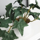 Искусственный цветок в горшке «Плющ комнатный люкс» (мягкий лист), 9×6 см, МИКС - Фото 2