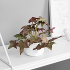 Искусственный цветок в горшке «Плющ комнатный люкс» (мягкий лист), 9×6 см, МИКС - Фото 3