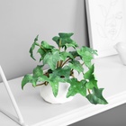 Искусственный цветок в горшке «Плющ комнатный люкс» (мягкий лист), 9×6 см, МИКС - Фото 4