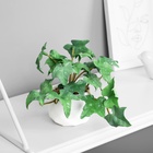 Искусственный цветок в горшке «Плющ комнатный люкс» (мягкий лист), 9×6 см, МИКС - Фото 5