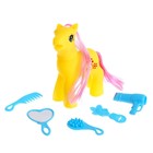 УЦЕНКА Пони «Люси» с аксессуарами, МИКС - Фото 4